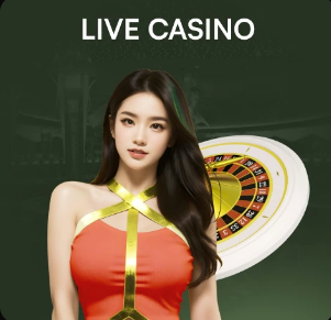 03月24日 CBA常规赛 深圳vs江苏 全场录像回放